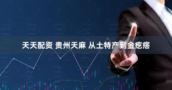天天配资 贵州天麻 从土特产到金疙瘩