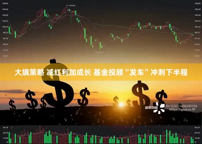 大旗策略 减红利加成长 基金投顾“发车”冲刺下半程