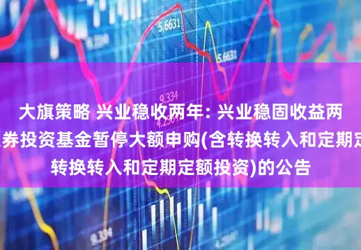 大旗策略 兴业稳收两年: 兴业稳固收益两年理财债券型证券投资基金暂停大额申购(含转换转入和定期定额投资)的公告