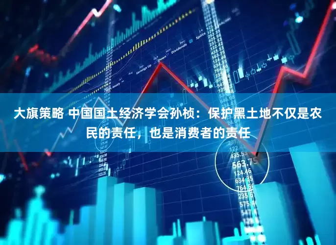 大旗策略 中国国土经济学会孙桢：保护黑土地不仅是农民的责任，也是消费者的责任