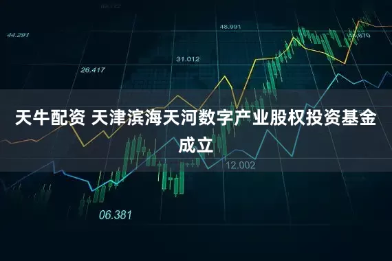 天牛配资 天津滨海天河数字产业股权投资基金成立