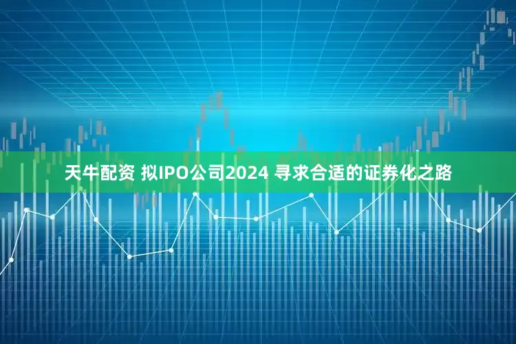 天牛配资 拟IPO公司2024 寻求合适的证券化之路